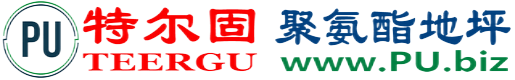 特尔固®衡阳聚氨酯地坪